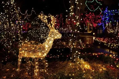 圣誕燈電池盒如何全自動(dòng)化組裝電池片/開(kāi)關(guān)/PCB板等配件